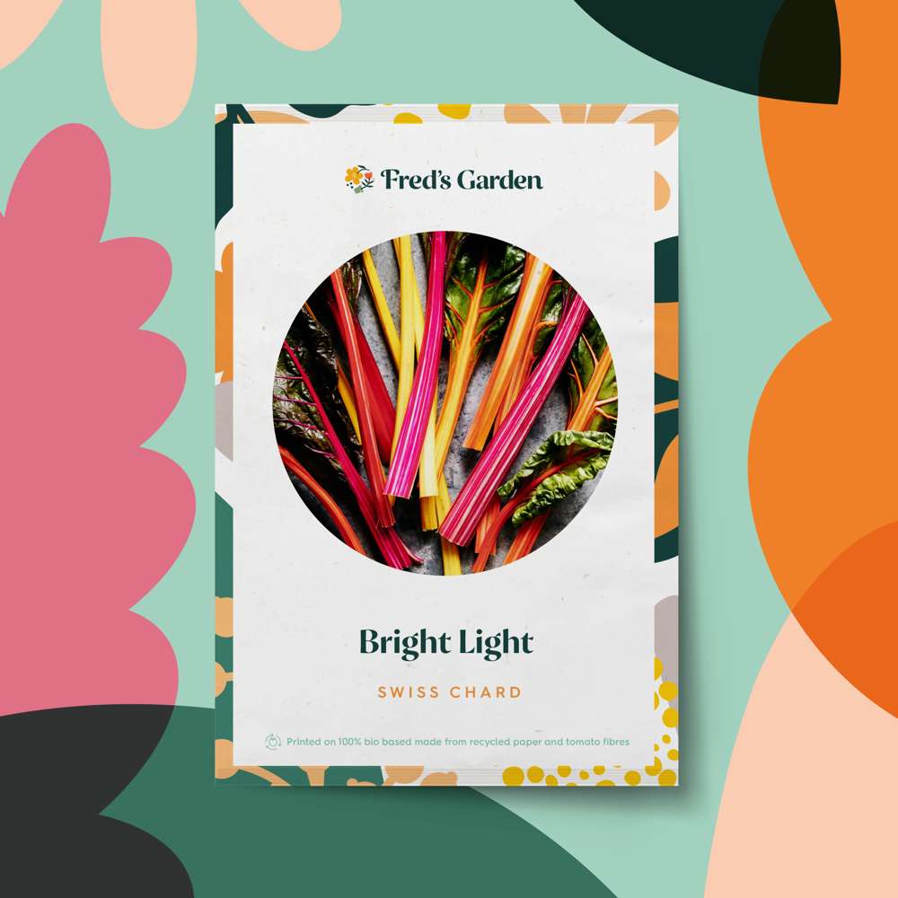 Bladbede 'Bright Light' (frø)